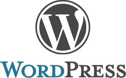 Curso: Construye una web profesional y gestiona contenidos digitales con wordpress