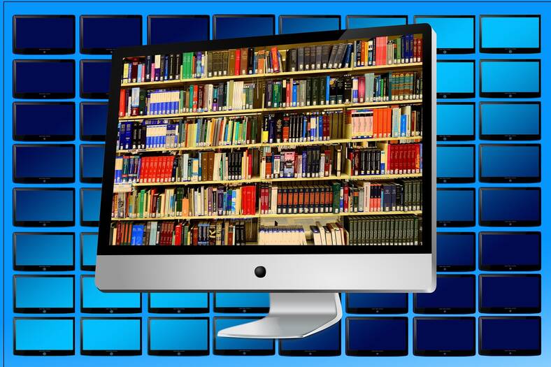 Los bibliotecarios y el libro electrónico